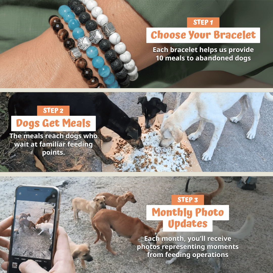 Ocean Bracelet