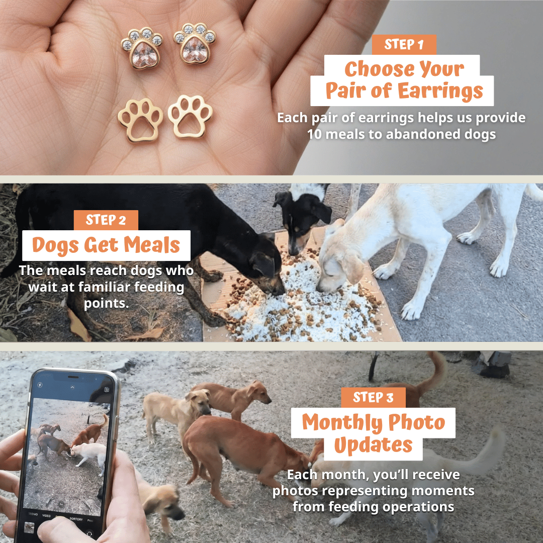 Heart Devotion Earrings